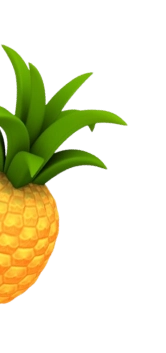 Ananas